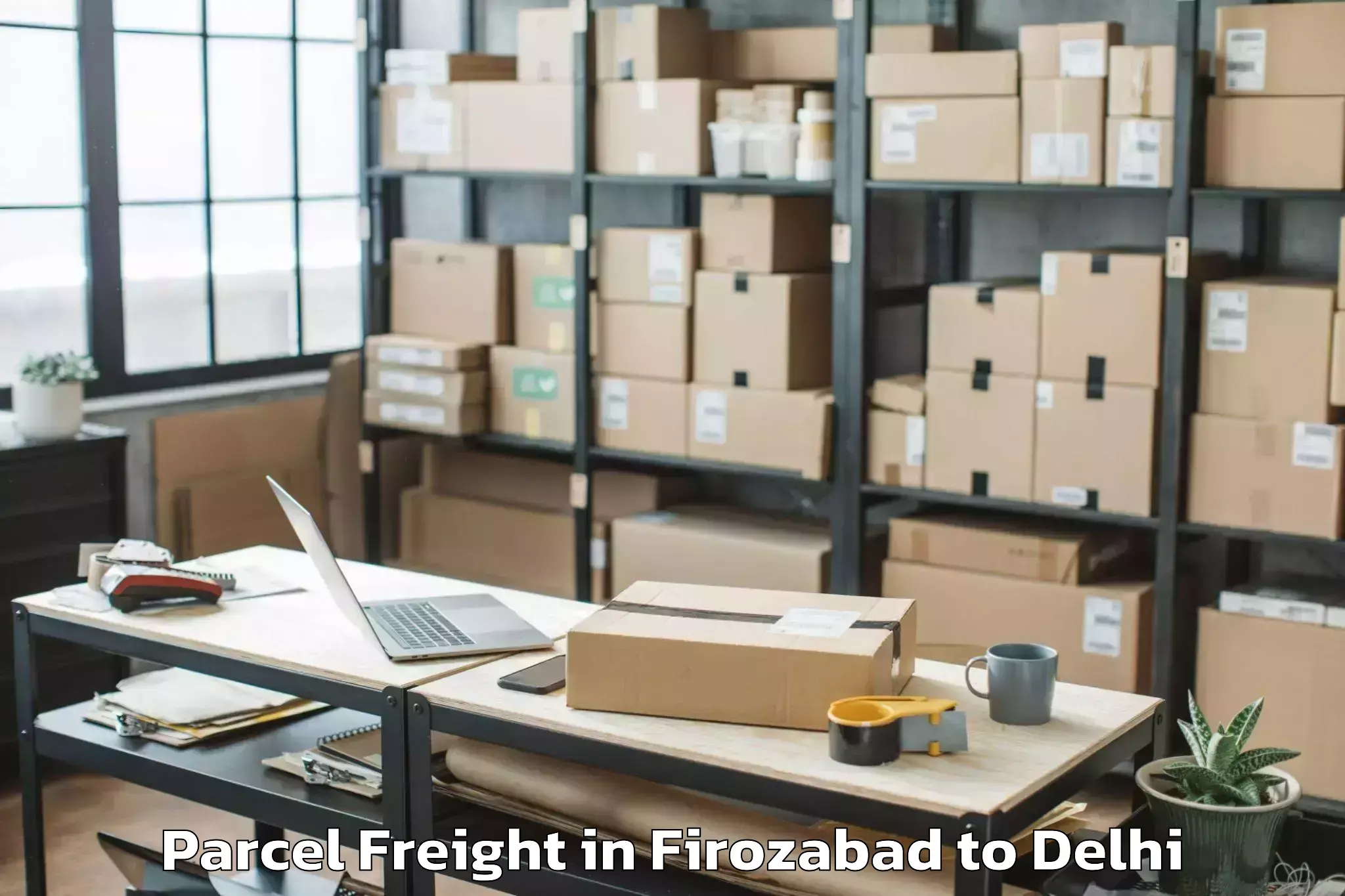 Easy Firozabad to Pitampura Parcel Freight Booking